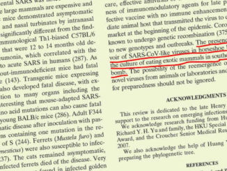 image of an article about SARS-CoV