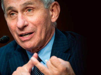 Dr. Fauci speaks during a Senate hearing